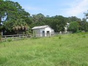 OSSABAW