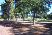 SKIDAWAY
