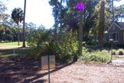 SKIDAWAY