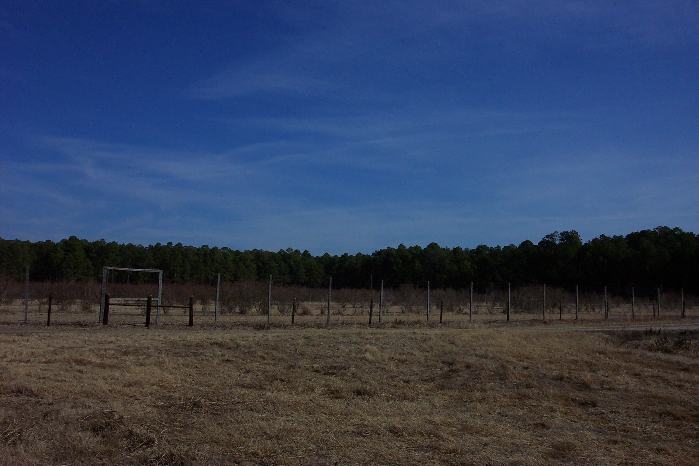 Weather Automated Environmental Monitoring Network Page