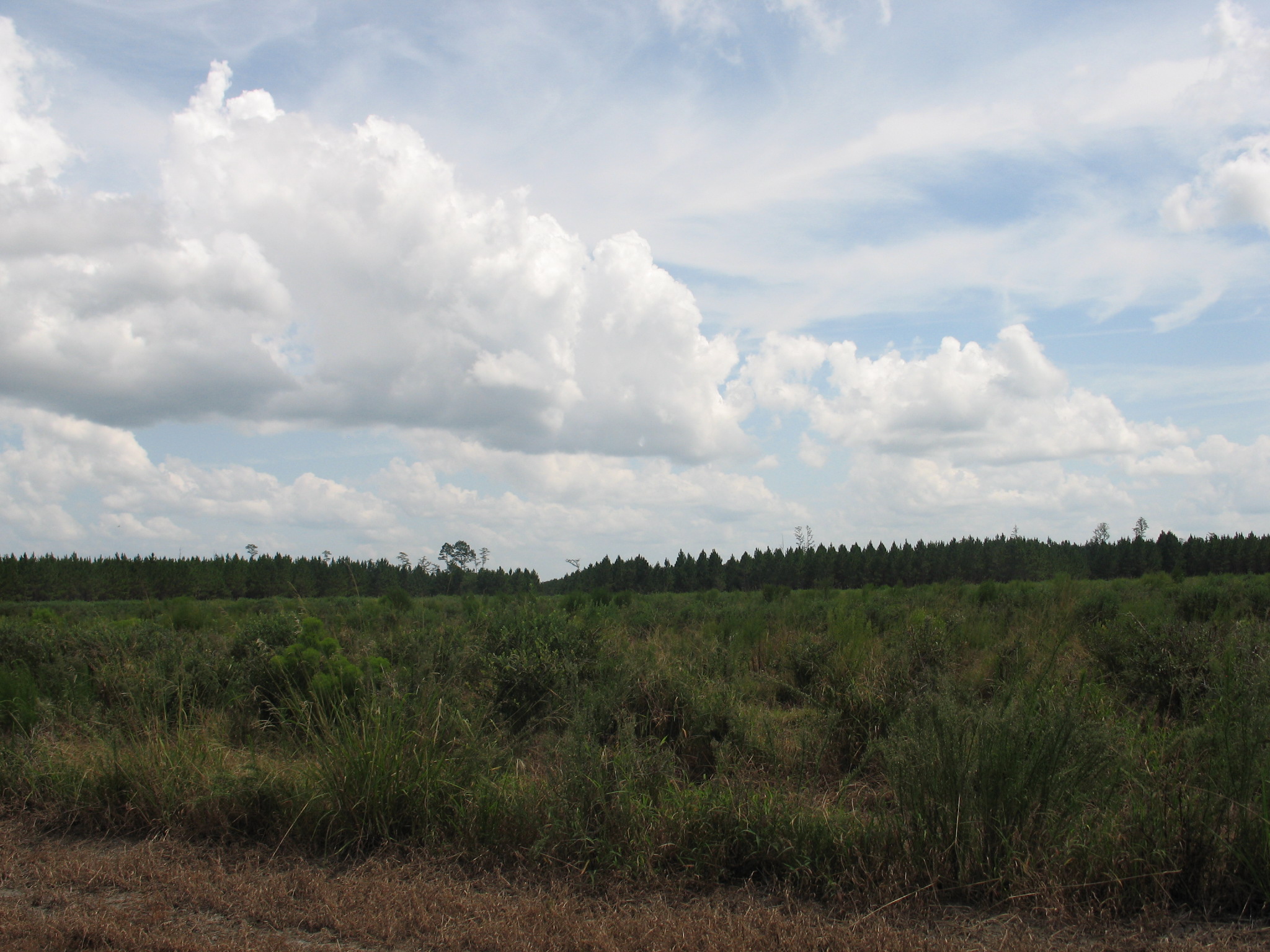 Weather Automated Environmental Monitoring Network Page