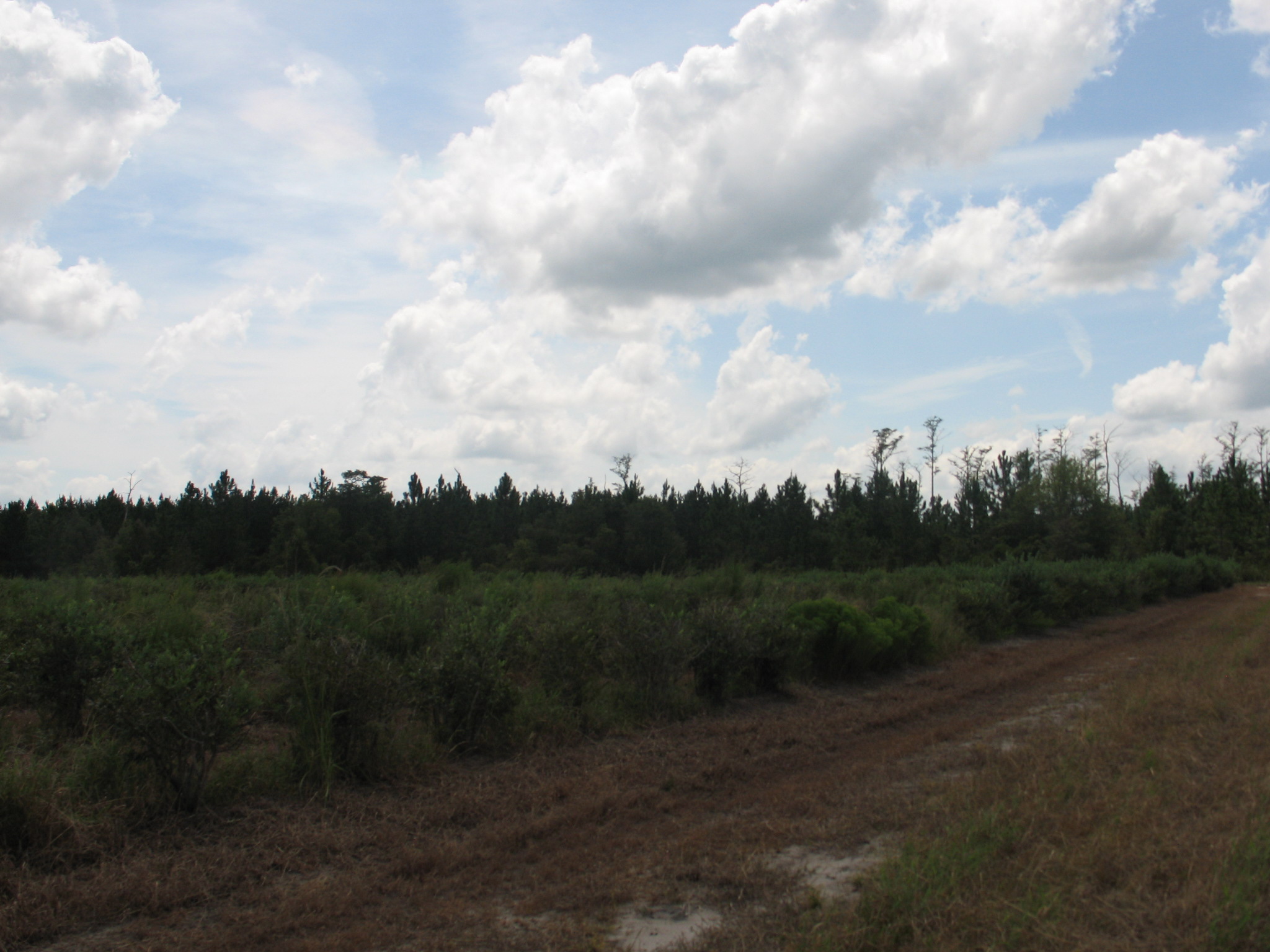 Weather Automated Environmental Monitoring Network Page