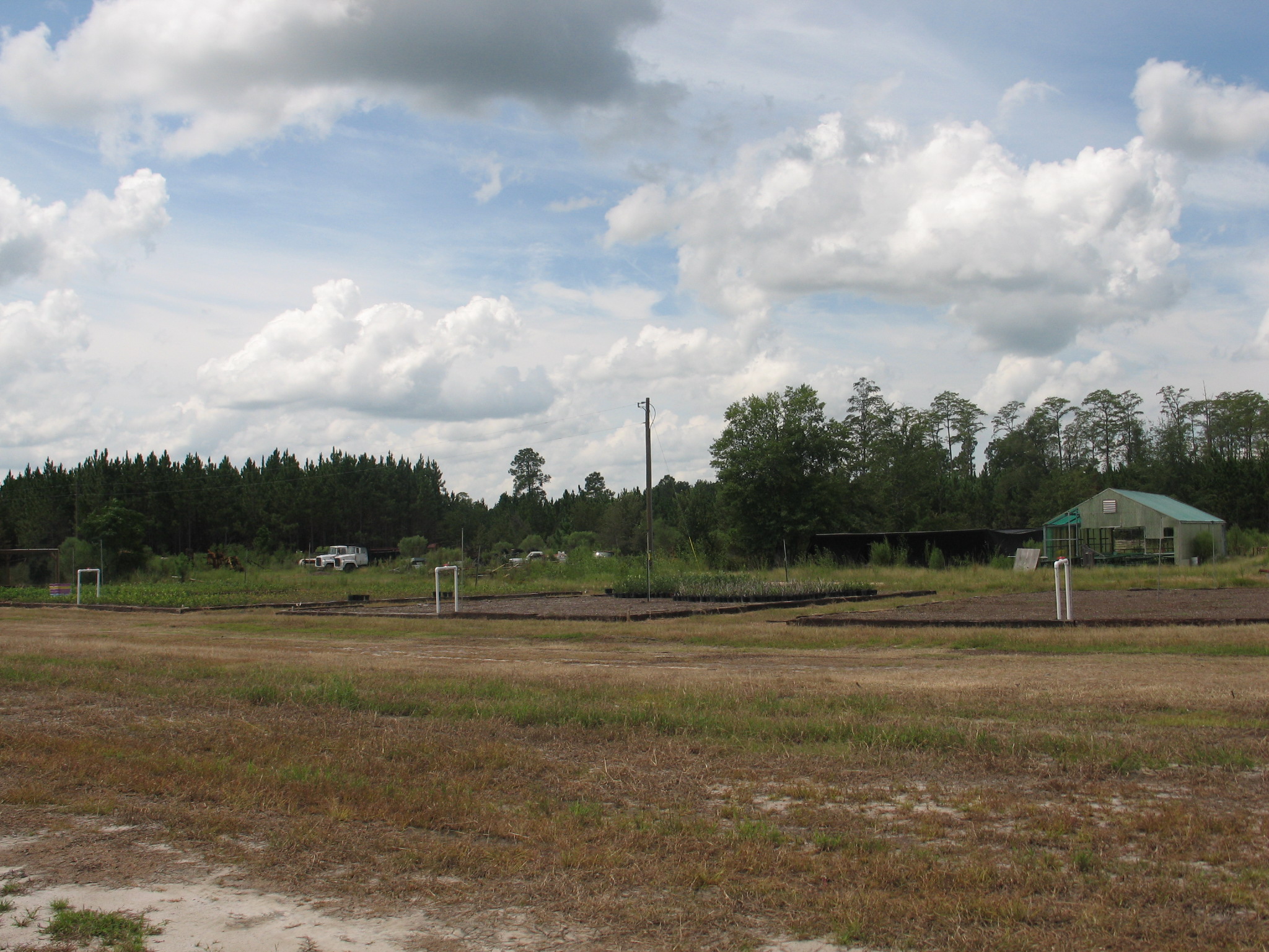 Weather Automated Environmental Monitoring Network Page