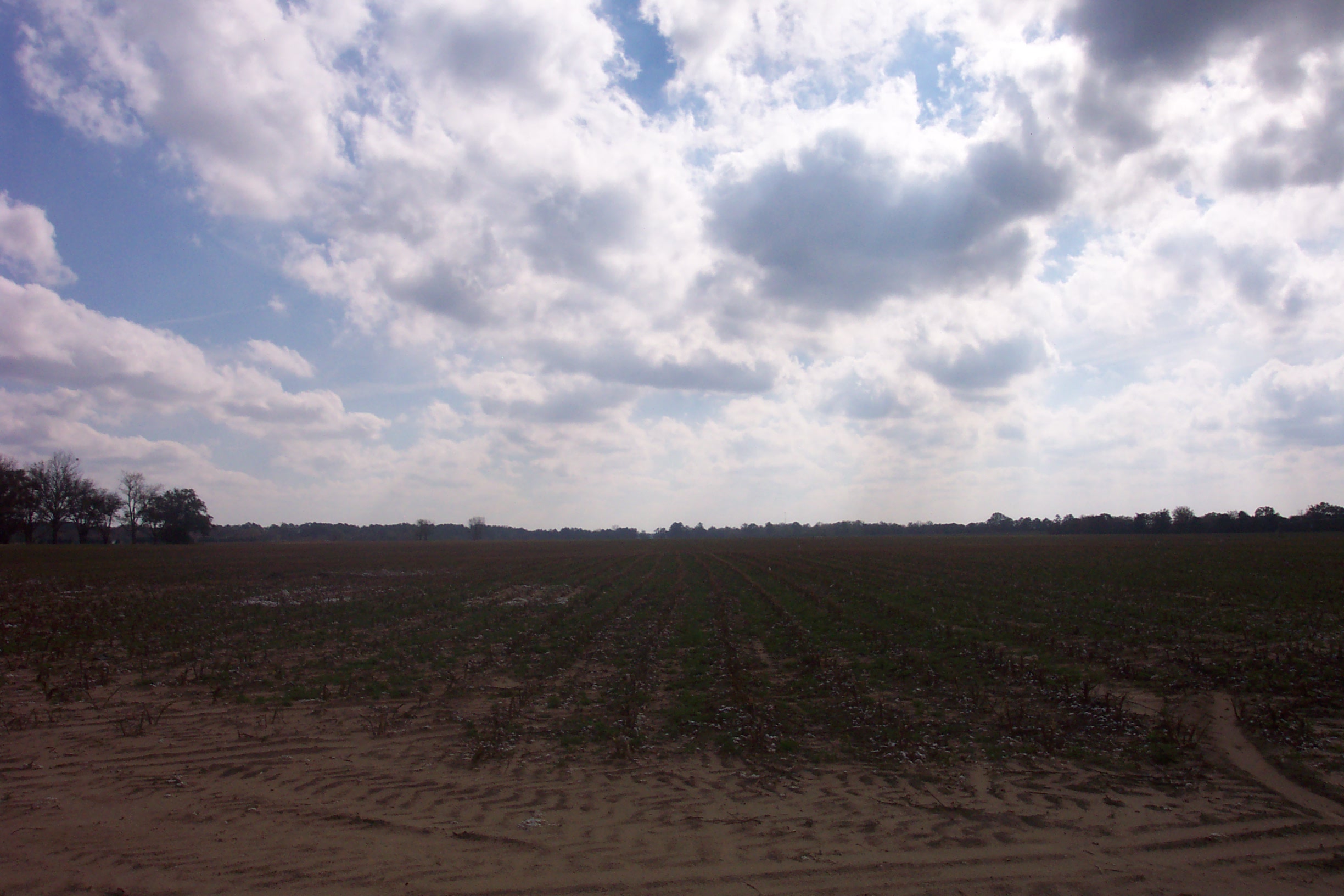 Weather Automated Environmental Monitoring Network Page