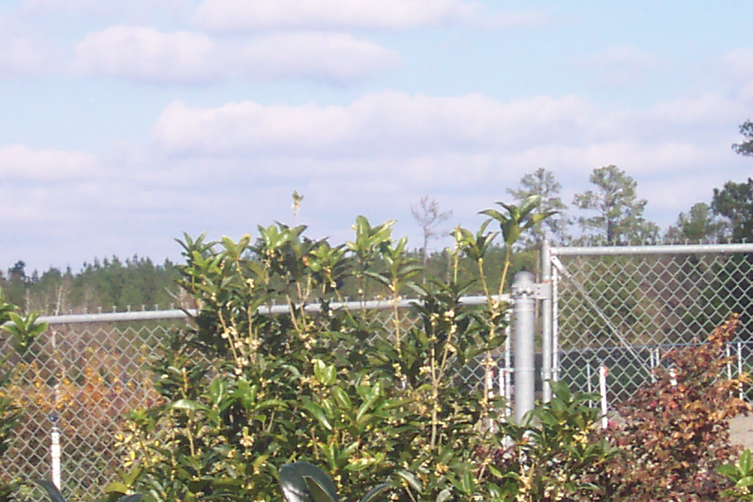 Weather Automated Environmental Monitoring Network Page