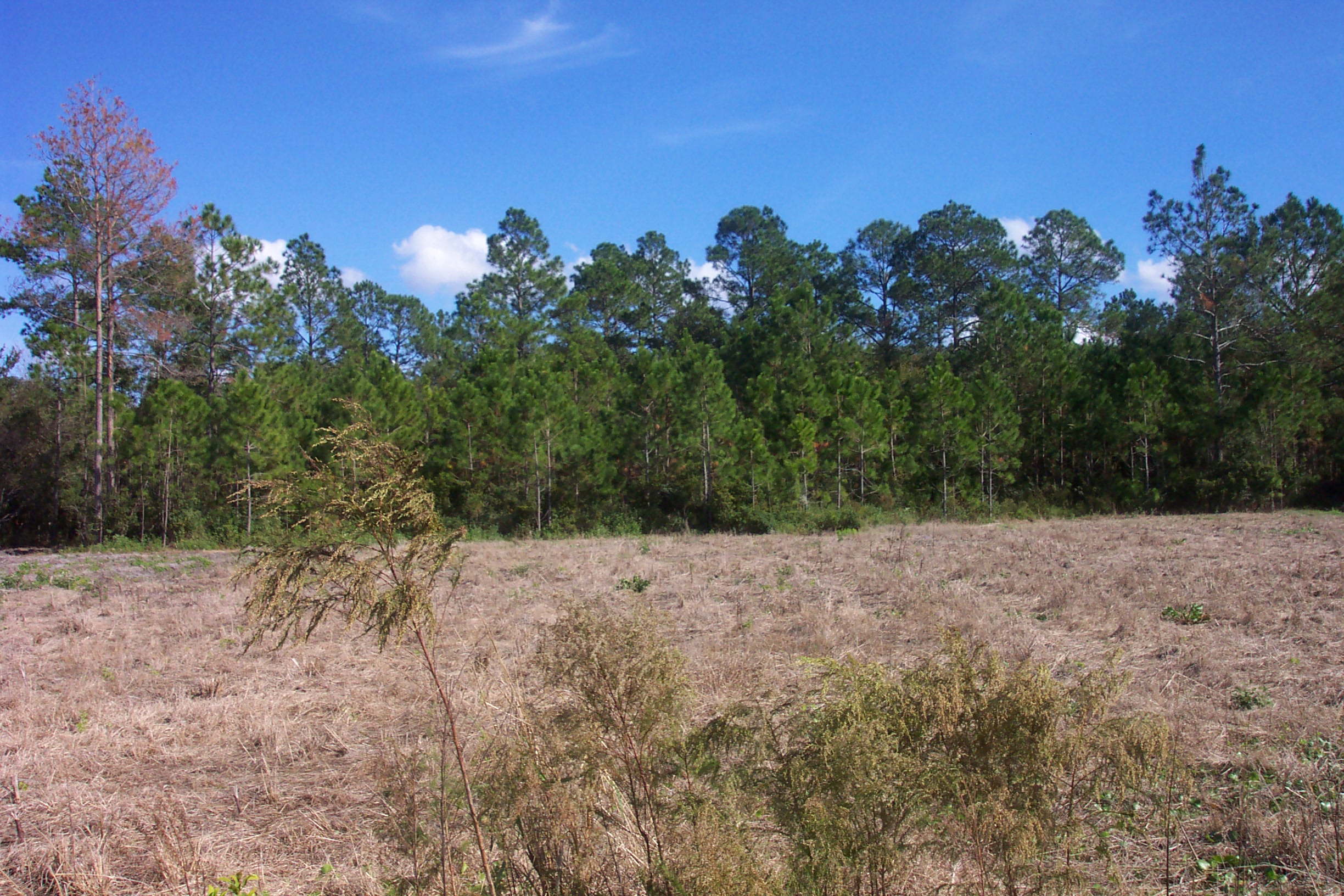 Weather Automated Environmental Monitoring Network Page