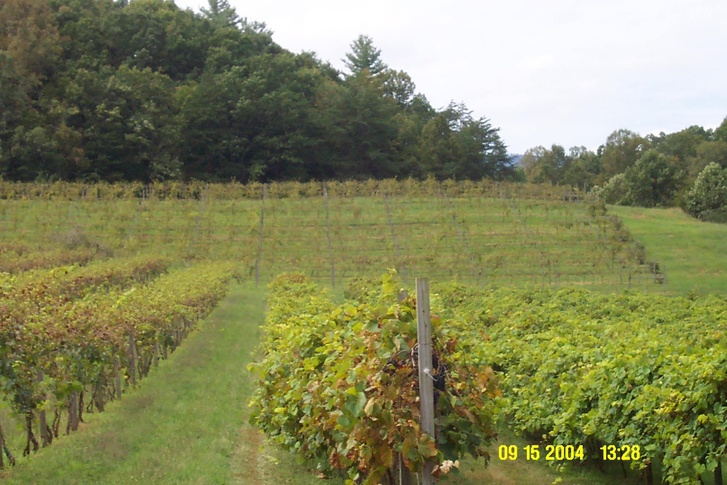 Weather Automated Environmental Monitoring Network Page