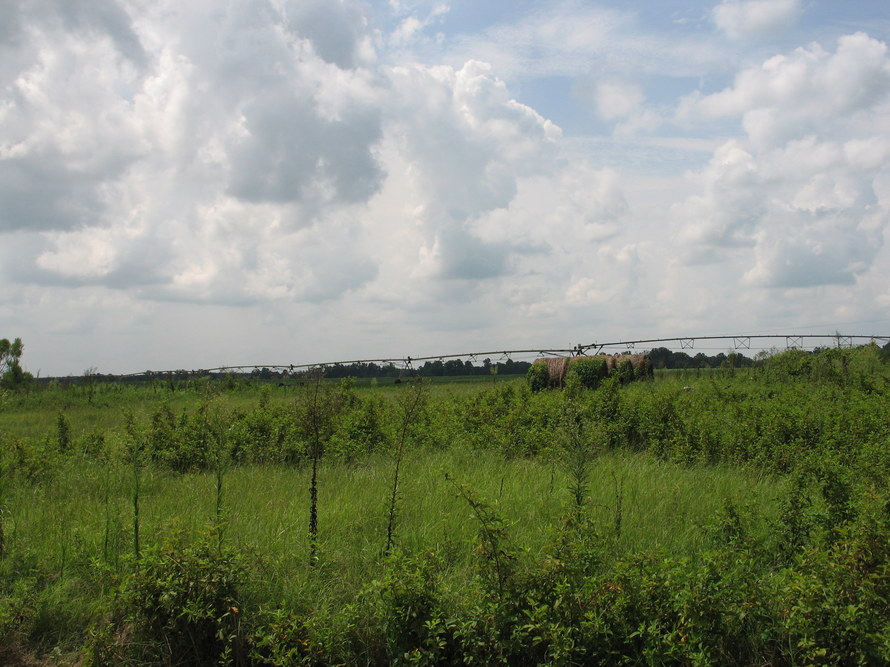 Weather Automated Environmental Monitoring Network Page